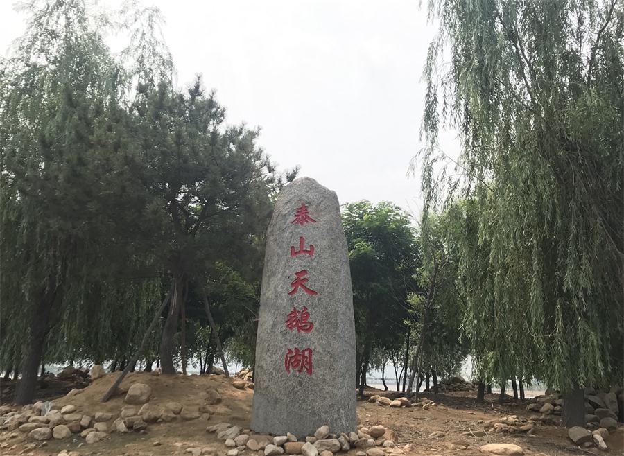 天鵝湖風(fēng)景區(qū)（泰山）速覽！(圖12)