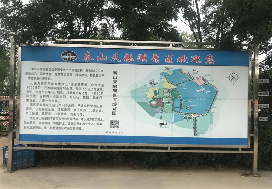 天鵝湖風(fēng)景區(qū)（泰山）速覽！(圖2)