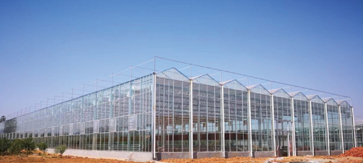 信橋鋼構(gòu)：打卡蒙陰農(nóng)業(yè)溫室大棚、青州黑牛養(yǎng)殖基地！(圖2)